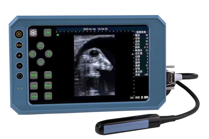 BU403T Handheld Tipe B Ultrasoniese Skandeerder Met raaksensitiewe skerm en 6.5MHz rektale lineêre reeks sonde vir veeartsenykundige gebruik